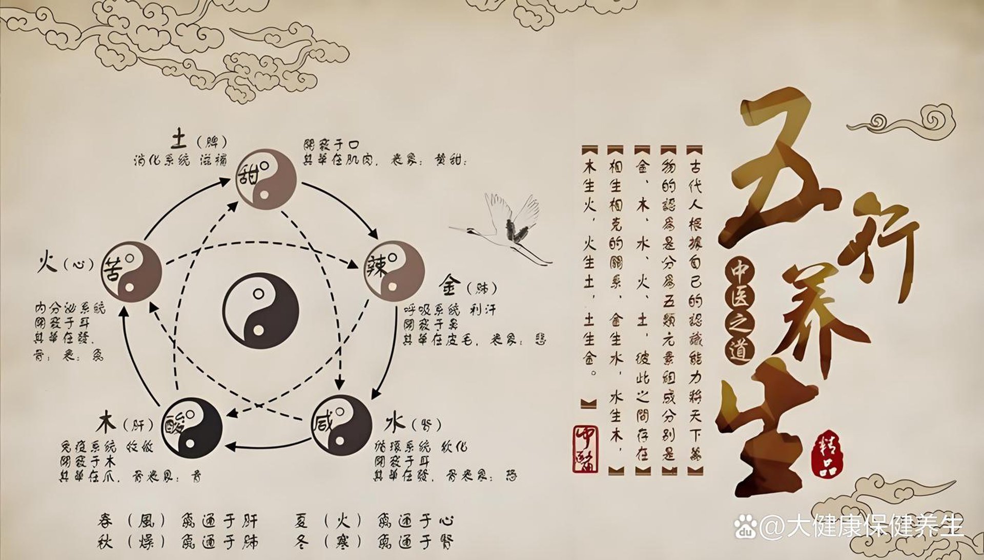 马一养生